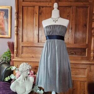 Gap Gray Silk Blend Strapless Tube Dress Size 8